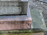 image of grave number 490095